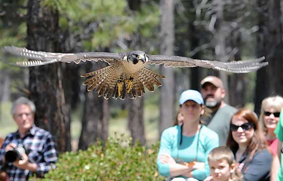 High Desert Museum