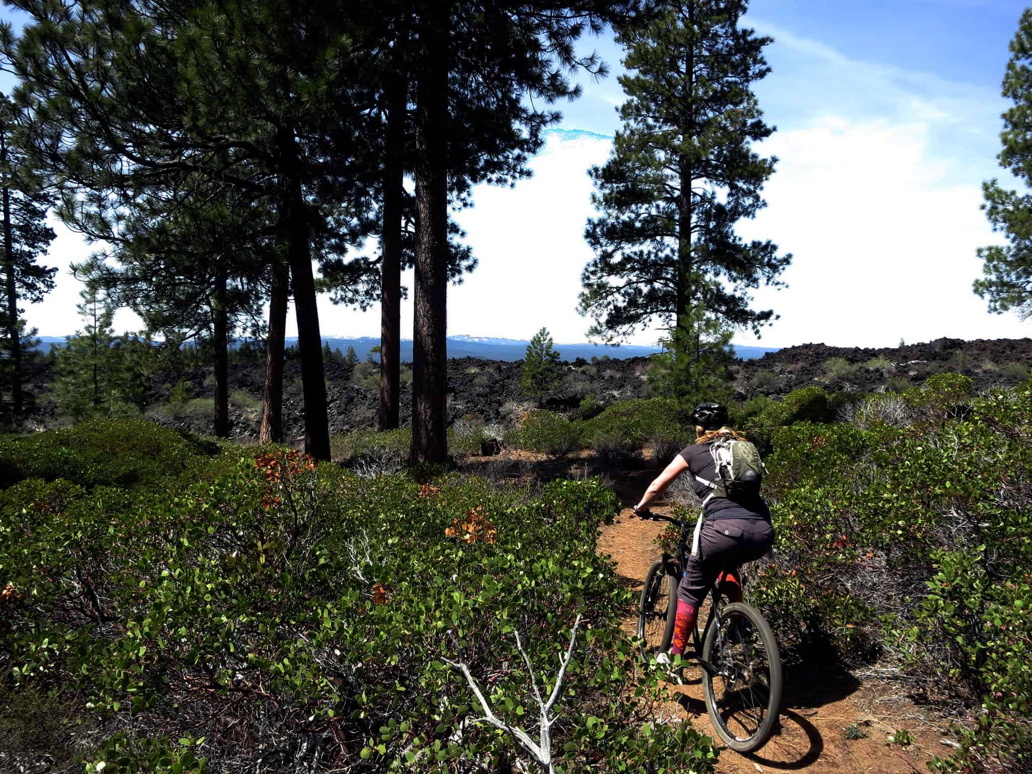 Courtesy Cog Wild Mountain Bike Tours and Shuttle Courtesy Cog Wild Mountain Bike Tours and Shuttle