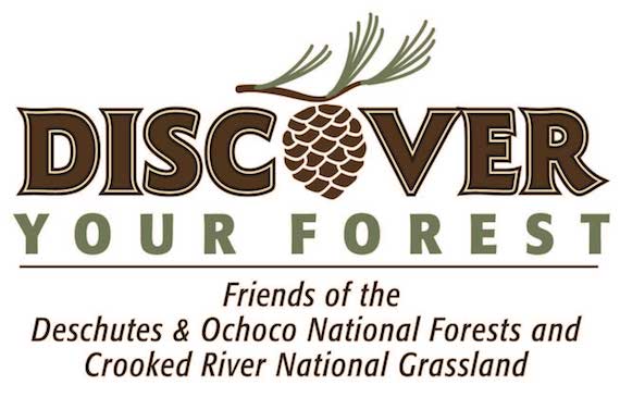 Discover Your Forest