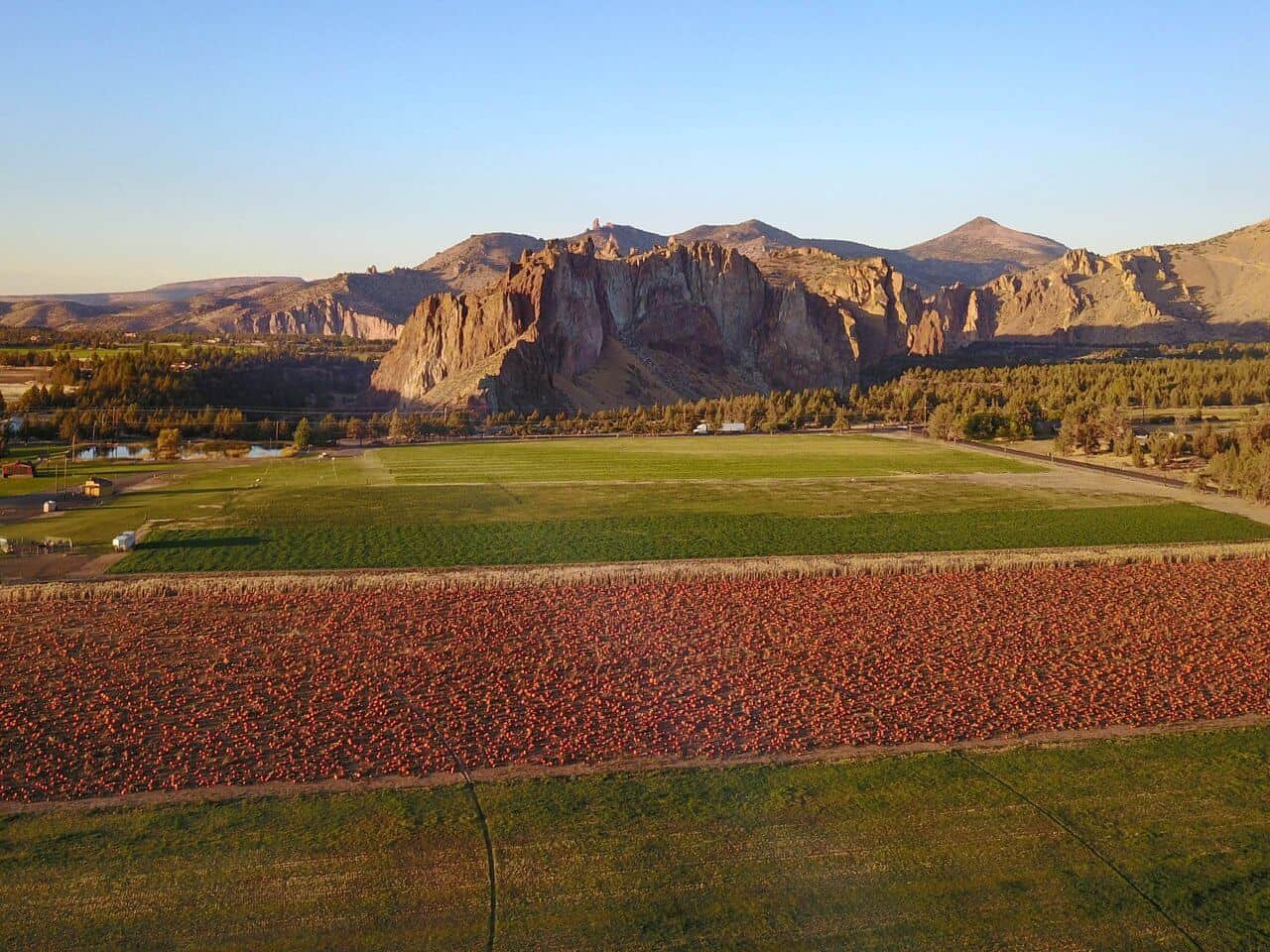 A field of pumpkins in front of Smith Rock. A field of pumpkins in front of Smith Rock.