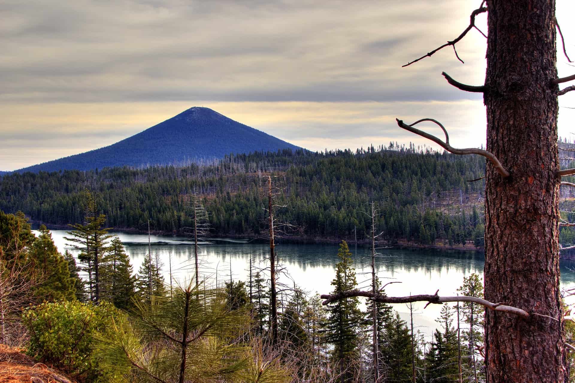 Hiking Black Butte – Central Oregon’s Iconic Stratovolcano