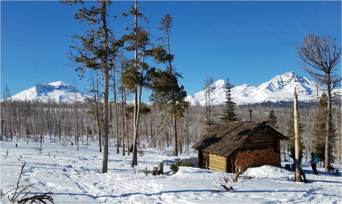 Jeff View Shelter via Peak View Trail. Photo Credit: Bob Timmer Jeff View Shelter via Peak View Trail. Photo Credit: Bob Timmer