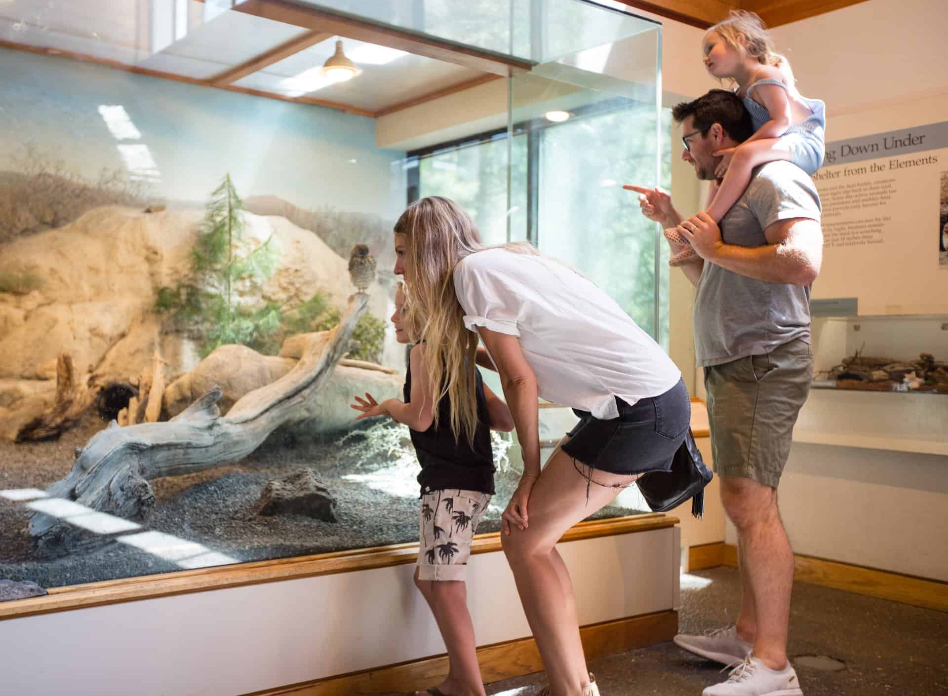 Museums & Galleries in Central Oregon